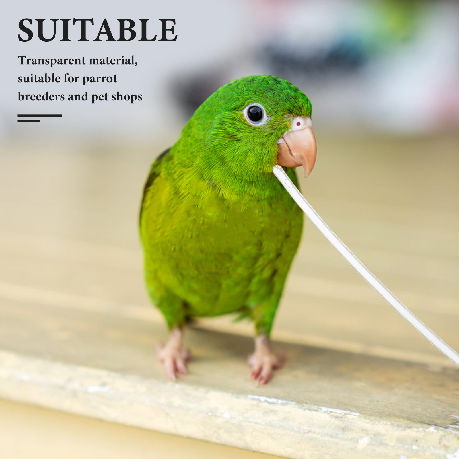 10Pcs Clear Soft Parrot Feeder - Baby Food Youtube 评论和价格